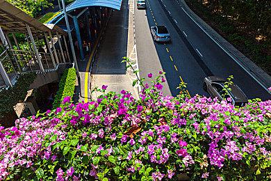 育碧取消一批游戏 是因为这些都不是玩家想要的